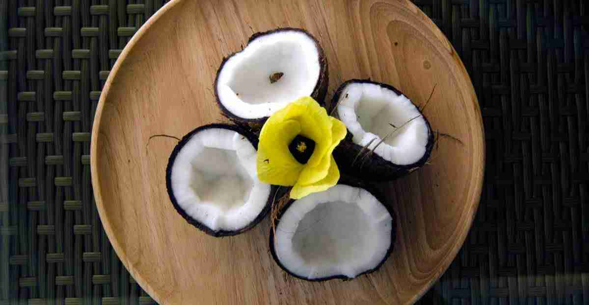 Coconut Tree_4_玩轉馬爾地夫 Coconut Tree 4 玩轉馬爾地夫