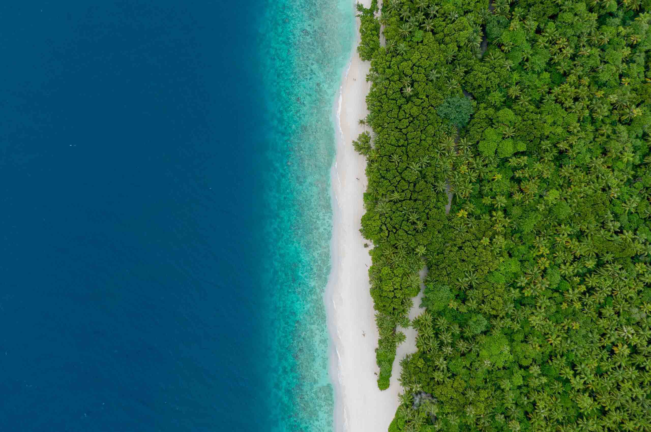 Dharavandhoo_Hanifaru_玩轉馬爾地夫_居民島_14 Dharavandhoo Hanifaru 玩轉馬爾地夫 居民島 14