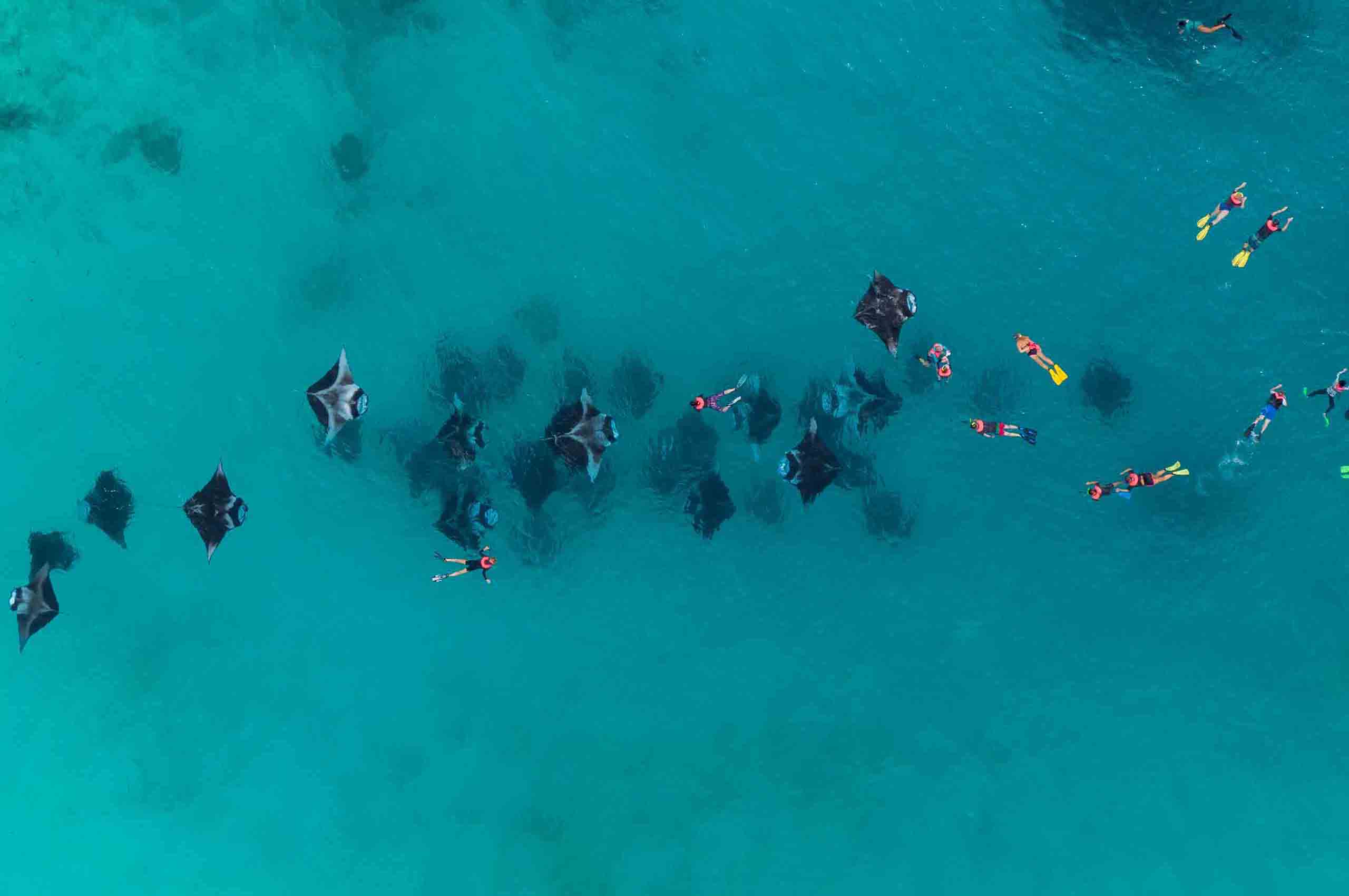 Dharavandhoo_Hanifaru_玩轉馬爾地夫_居民島_15 Dharavandhoo Hanifaru 玩轉馬爾地夫 居民島 15