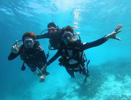 Discover Scuba Dive 體驗潛水