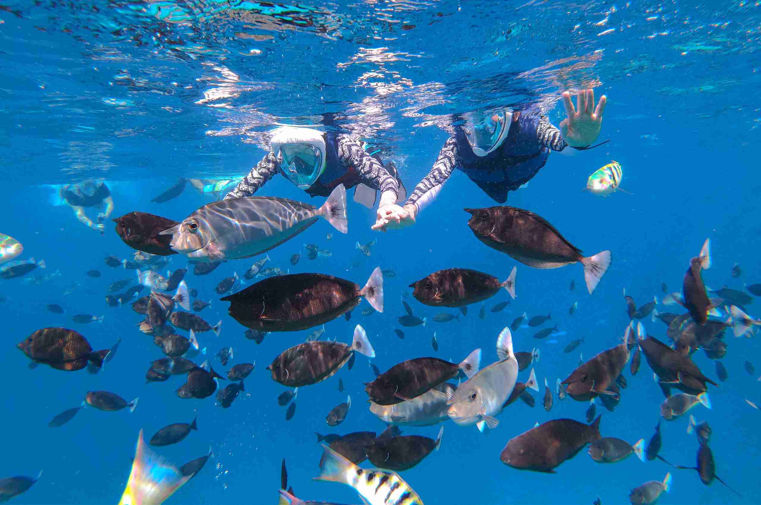 DCIM100GOPROG0017933.JPG HalfDayTrip浮潛半日遊10 Maafushi 玩轉馬爾地夫