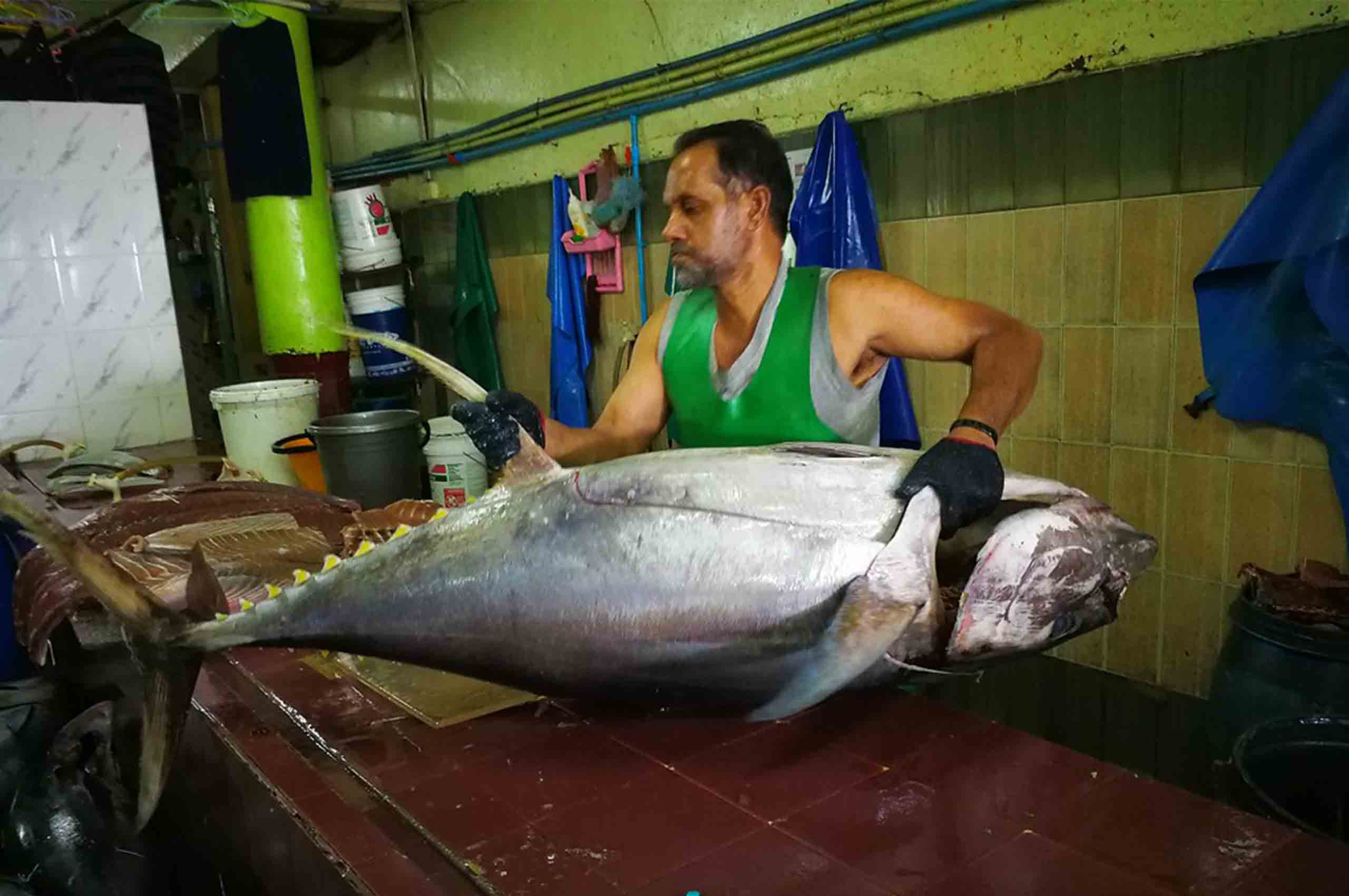 Male_魚市場_玩轉馬爾地夫 Male 魚市場 玩轉馬爾地夫