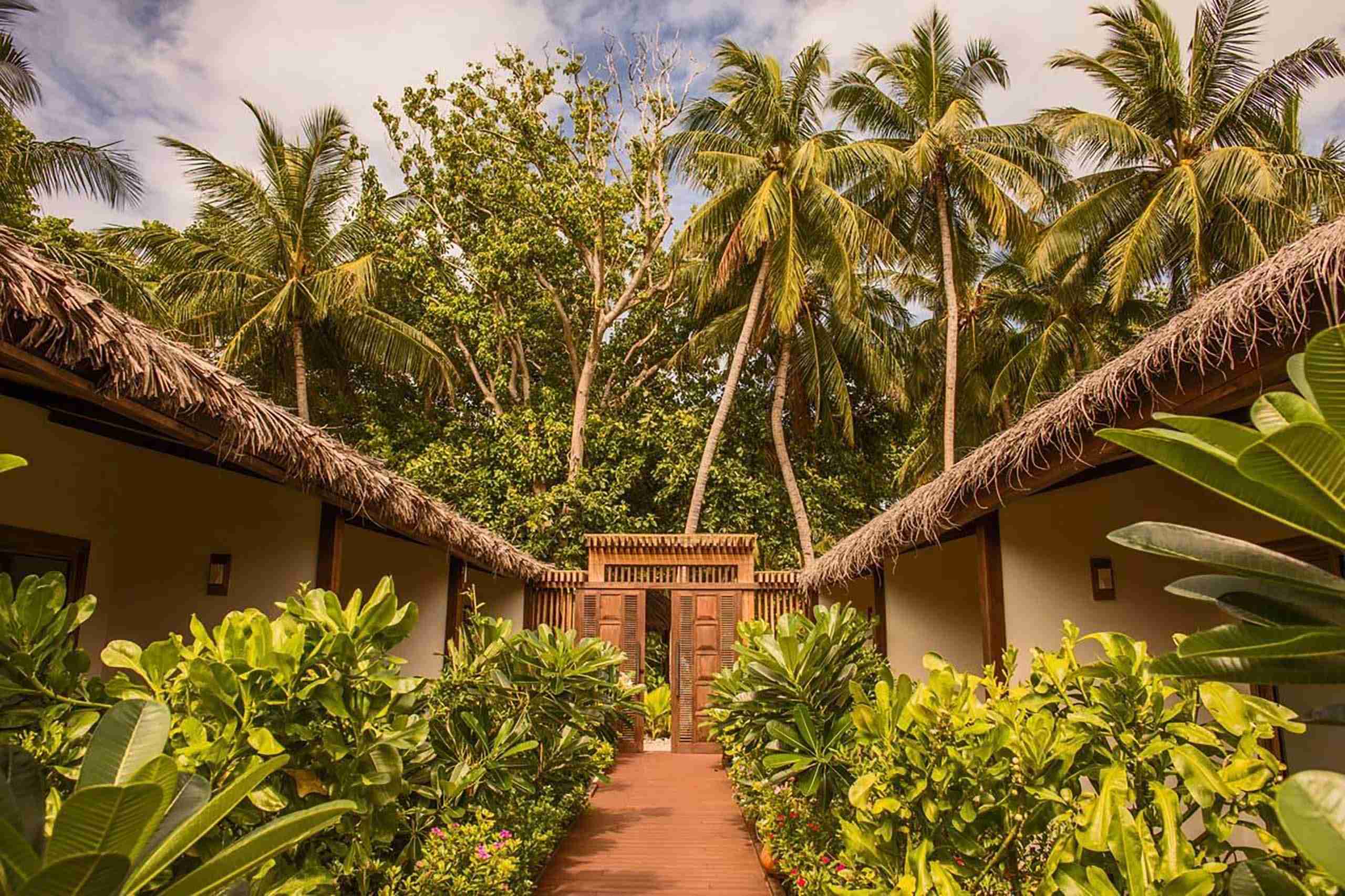 Plumeria_Thinadhoo_玩轉馬爾地夫30 Plumeria Thinadhoo 玩轉馬爾地夫30