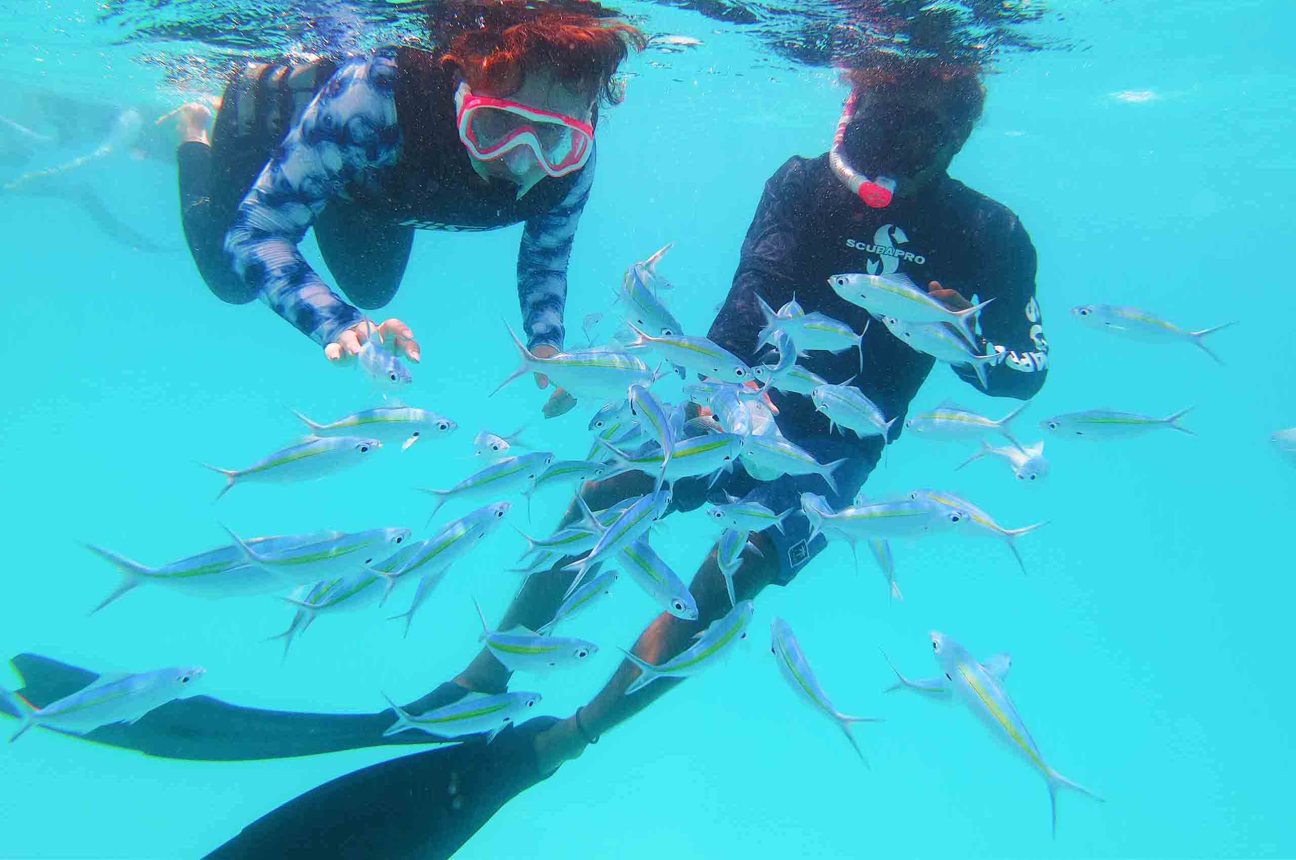 Rasdhoo_玩轉馬爾地夫_居民島_15 Rasdhoo 玩轉馬爾地夫 居民島 15