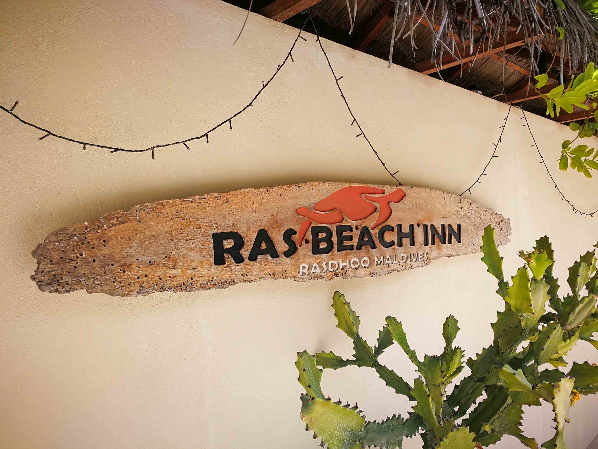 Rasdhoo_玩轉馬爾地夫_居民島_36 Rasdhoo 玩轉馬爾地夫 居民島 36