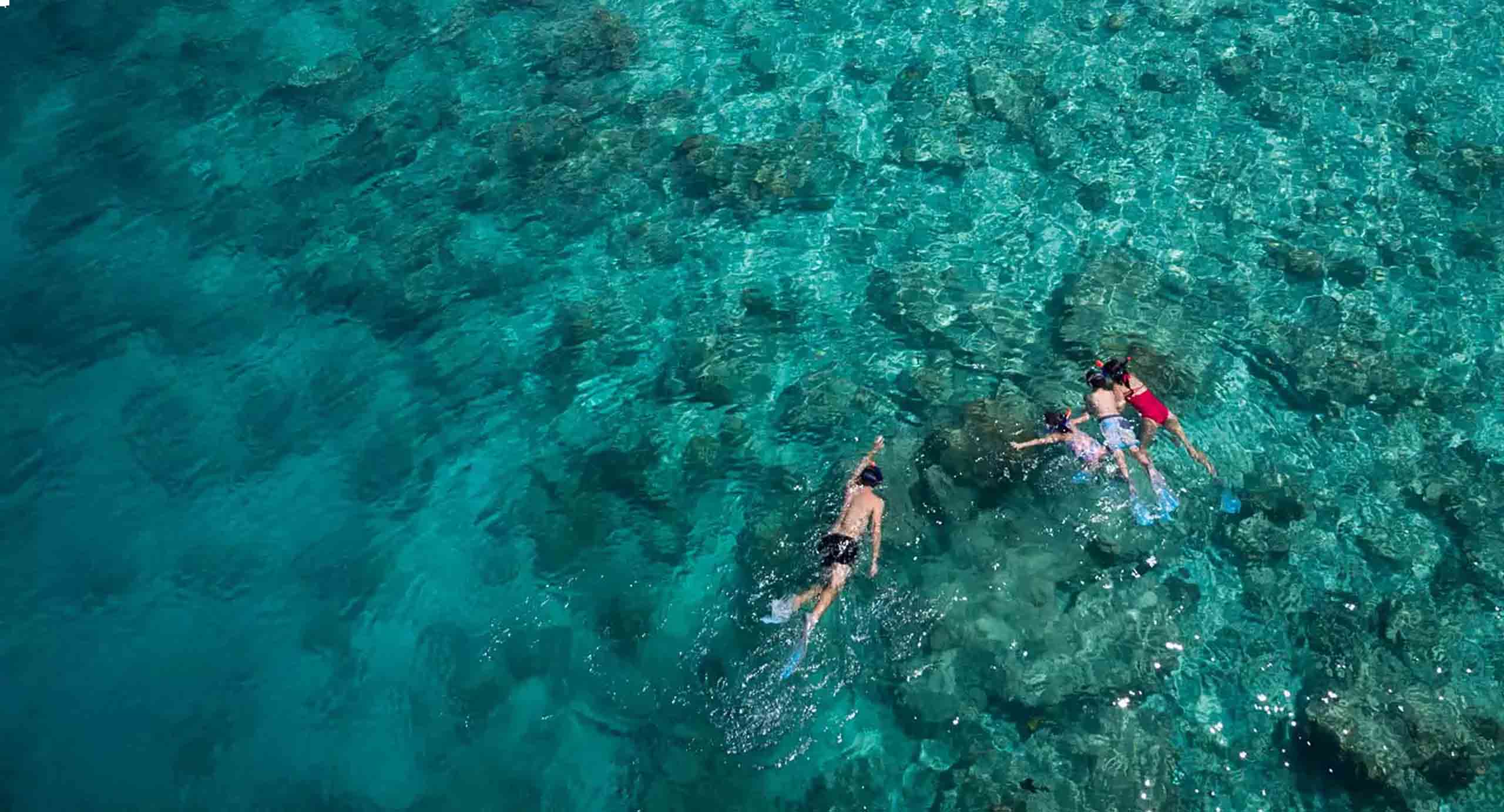 Snorkeling_Anantara_Dhigu_玩轉馬爾地夫 Snorkeling Anantara Dhigu 玩轉馬爾地夫