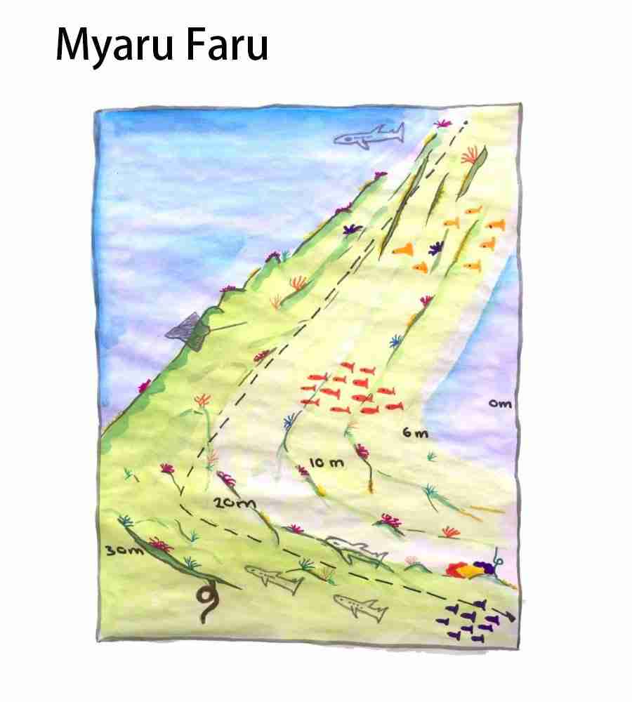 divesite_Maafushi_玩轉馬爾地夫31 divesite Maafushi 玩轉馬爾地夫31
