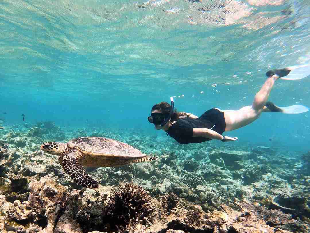 sandbank-snorkeling_Thinadhoo_玩轉馬爾地夫8 sandbank snorkeling Thinadhoo 玩轉馬爾地夫8