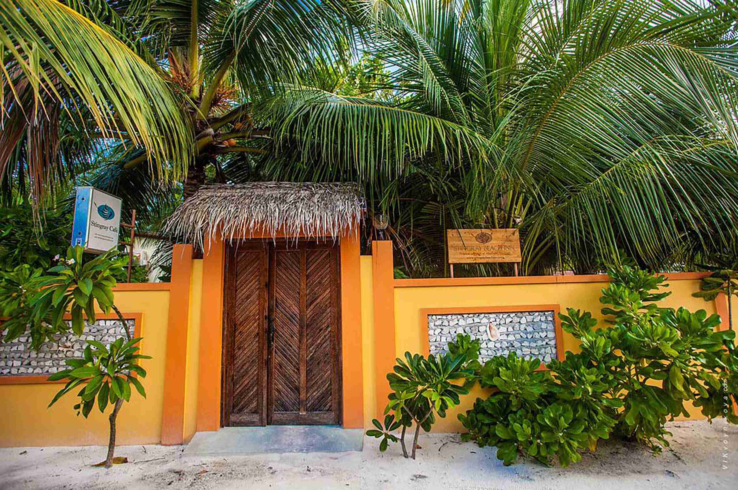 stingray-beach-inn-Maafushi-玩轉馬爾地夫5 stingray beach inn Maafushi 玩轉馬爾地夫5