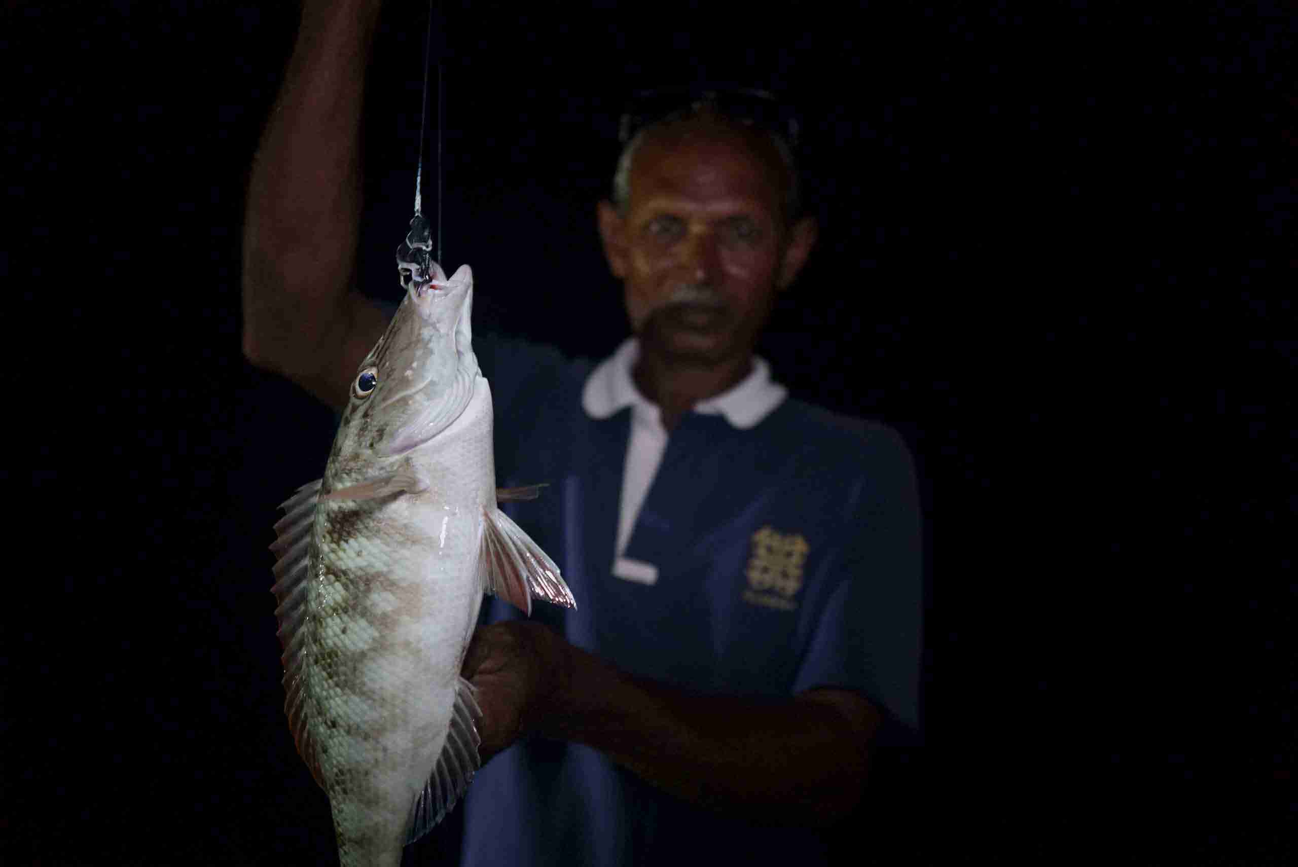 夜釣_蜜月團_馬爾地夫_maldives_3 蜜月團 馬爾地夫 maldives 3
