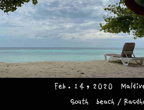 2020 馬爾地夫居民島+度假村跳島預算行程安排